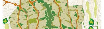 Planeamiento_urbano_grid